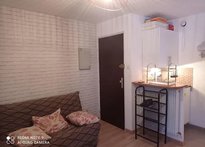 Super T2 Au Pieds Des Pistes. Les Deux Alpes