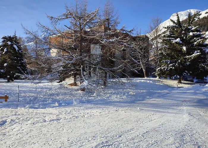 Super T2 Au Pieds Des Pistes. Apartment Les Deux Alpes